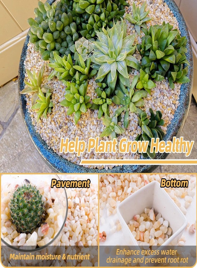 CJGQ 7lb Aquarium Gravel for Plants, 1/5Inch Outdoor Decorative River Rocks for Succulents and Cactus Landscaping, Garden Plant Rocks Natural Small Rocks Pea Gravel for Fish Tank Vases Terrarium - Image 4